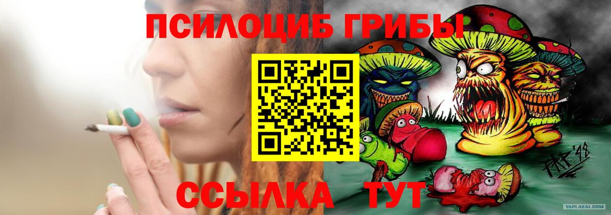 Ярцево  Галлюциногенные грибы мицелий  Вход с VPN 